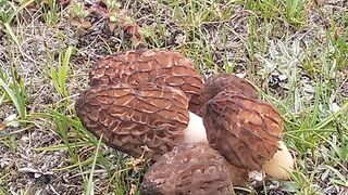 #BEAUTIFUL NATURE3