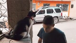 El michi bendito