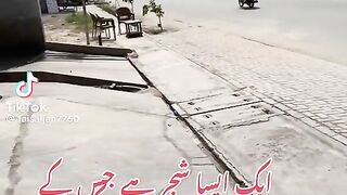 Bahi bohat acah kam kr rha hai Allah ap ko ore zayda dy