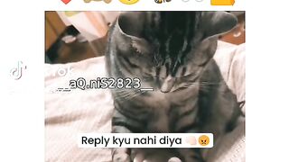Funny video boom video viral video most beautiful video very funny video