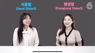North Korean vs South Korean vocabulary differences