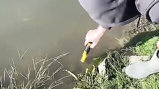 We found small abandoned safe with metal detector in the river!!!