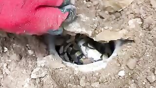 We found a treasure, inside it was a hibernating snake.????