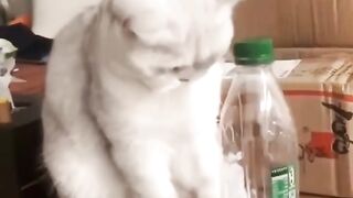 #funny