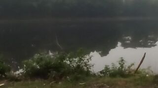 Nature at the morning