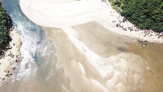"Earth's Tapestry: Discovering Natural Splendor"