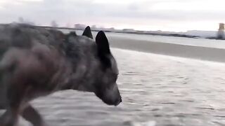 This boy’s living his best life