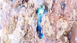 Emeralds and diamonds found in virgin jungle