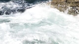 NATURE 81