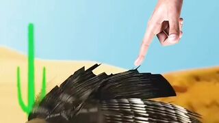 Indian crested porcupine Vs Chita #viral #usa #fact #best #trending #shorts