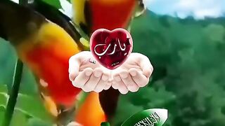 dua subah