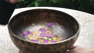 Potential of Singing Bowl Frequency Therapy