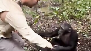 Chimpanzee uses man's hands to drink water and then washes them to express gratitude