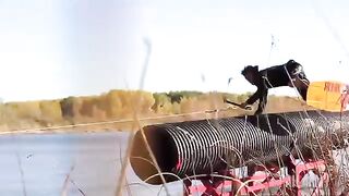 مقطع مضحك
