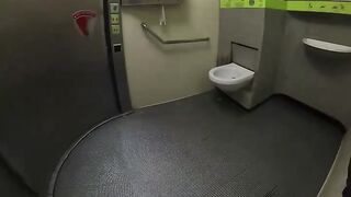 This is how a self cleaning public toilet in Paris works