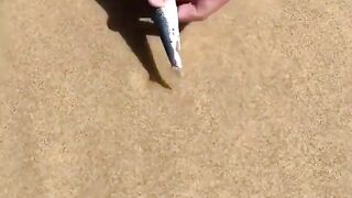 Australonuphis or beach worm, you don't see it, but it sees you