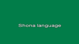 Shona Language Reading Lessons 1 of 3