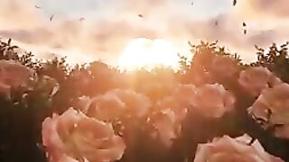 Flowers for you