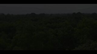 THE STORY OF TREE __ REAL FOOLS