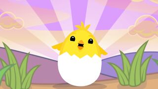 short story cutie from your favorite baby chicken
