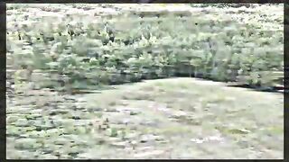 Mr.Beast video plane crash
