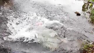 Regardez ce video 9090