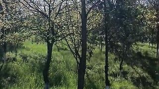 НЕЩО ОТ ТВЪРДИЦА
