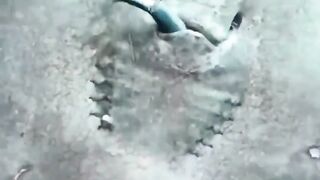 World dangerous fish in the world