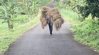 Make food Cow