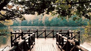 Relaxing Music Piano
