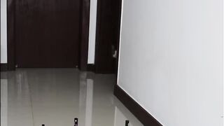 Obstacle Challenge CAT vs DOG
