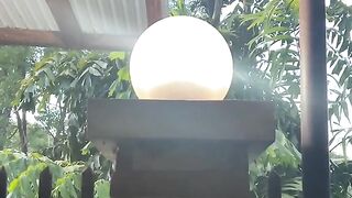 Eclipse solaire au Philippines