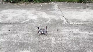 How to make Quadcopter at Home - Make a Drone