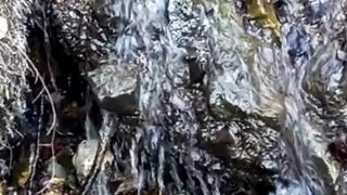 Beautiful nature