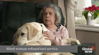 Hurts like hell": BC blind woman says taxi refused her service due to guide dog