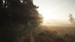 No Copyright Background Nature Video (No Sound, No Music) - Free Stock Footage