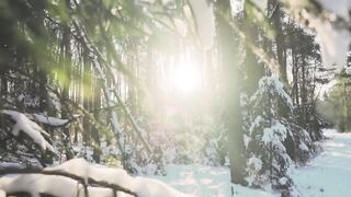 Free Nature Video