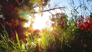 Amazing Nature is a Great View