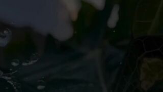 Urdu Quran # #quran #trending #viral #ytshorts #shorts #urdu #IslamicINFO