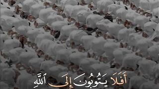 افلا يتوبون إلى الله