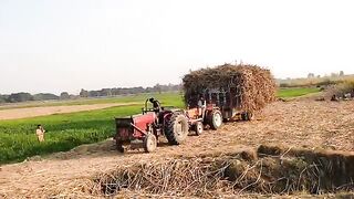 alghazi_65_hp_tractor___fiat_640_tractor_power___mf_375_tractor