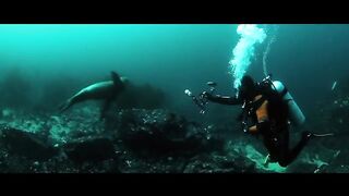 Deep Blue Sea