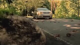 A beaver saved a man from death.#FebSpot #Viralme