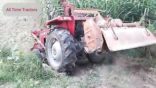 Panjabi village Tractor_video___Massey_Ferguson_Tractor_Dangerous_crossing