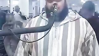 مشاء الله  قط يحب  القرآن