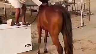 الضحك ثم الضحك