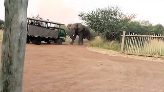 Just back away