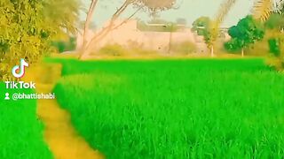 Saraiki