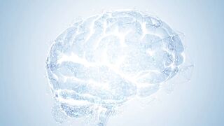 3d animated human brain loop