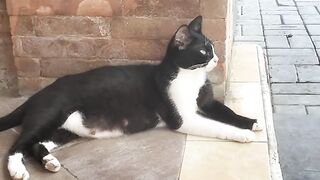 MY Caty Backy Astuti West linght